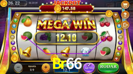 Interface Premium Br66