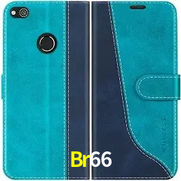 Promoção Relâmpago Br66